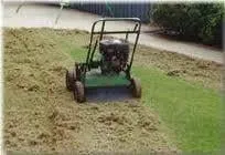 Trusted lawn care service for residential properties across Phoenix, AZ - Sergio's Lawn Services