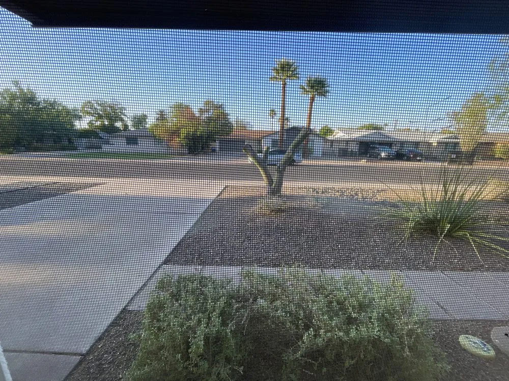 Reliable yard maintenance experts serving Phoenix, AZ - Sergio's Lawn Services