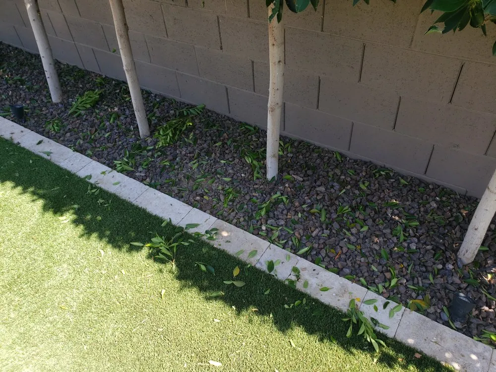 Affordable landscape design experts serving Phoenix, AZ - Sergio's Lawn Services