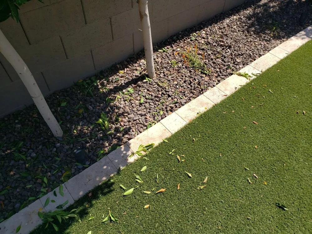 Trusted outdoor landscaping for homes in Phoenix, AZ by Sergio's Lawn Services