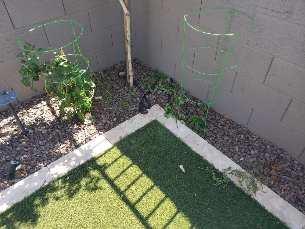 Local yard cleanup service for beautiful yards in Phoenix, AZ by Sergio's Lawn Services