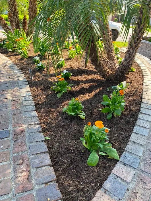 Expert landscape installation in Yorba Linda, CA by Sergio's Mulch and Landscaping Design