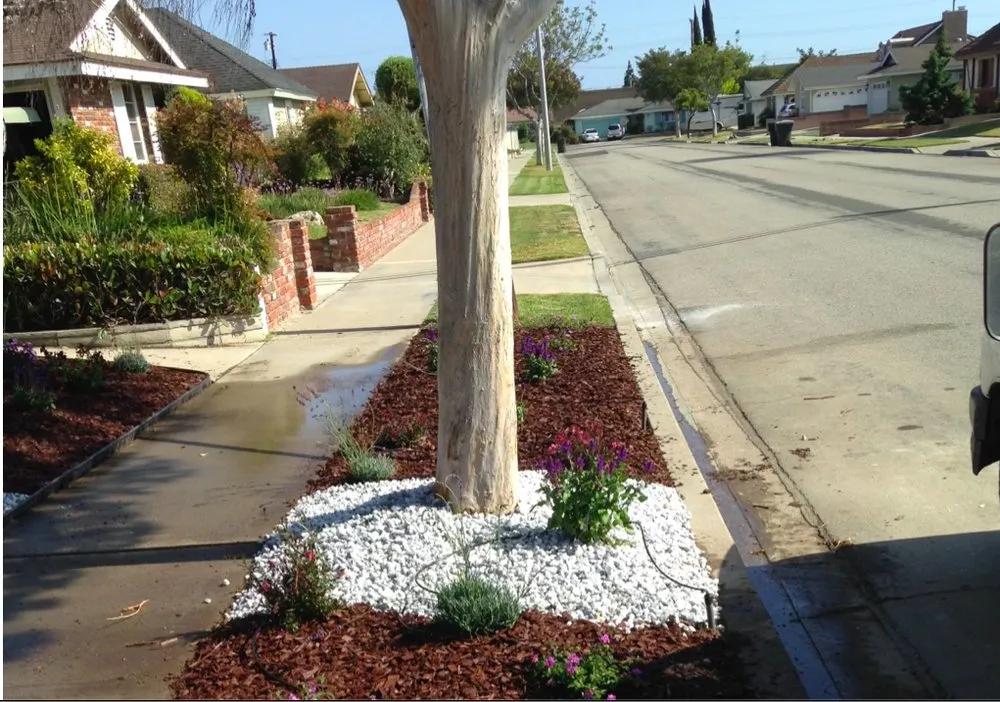 Top-rated landscape design near you across Yorba Linda, CA - Sergio's Mulch and Landscaping Design