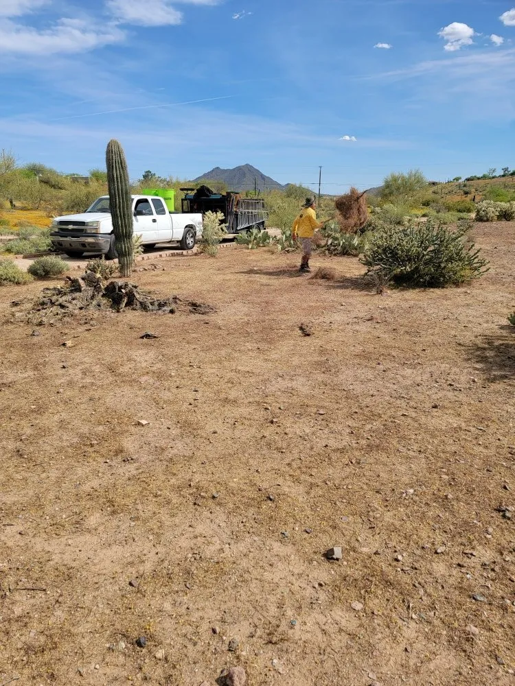 Expert landscape design for residential properties in Phoenix, AZ by Sergio's Tree And Lawn Service