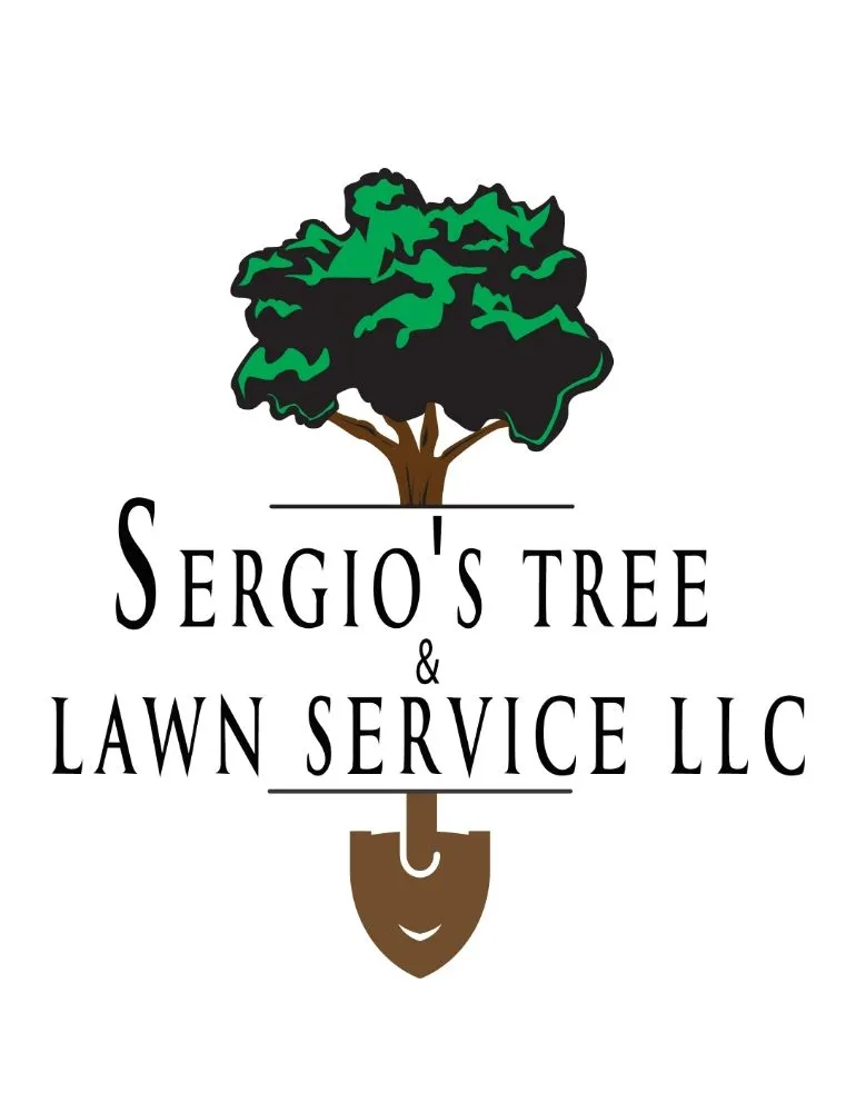 Professional outdoor landscaping near you in Phoenix, AZ by Sergio's Tree And Lawn Service