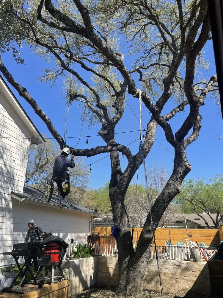 Affordable yard maintenance for outdoor upgrades across Buda, TX - Sergio's Tree Service