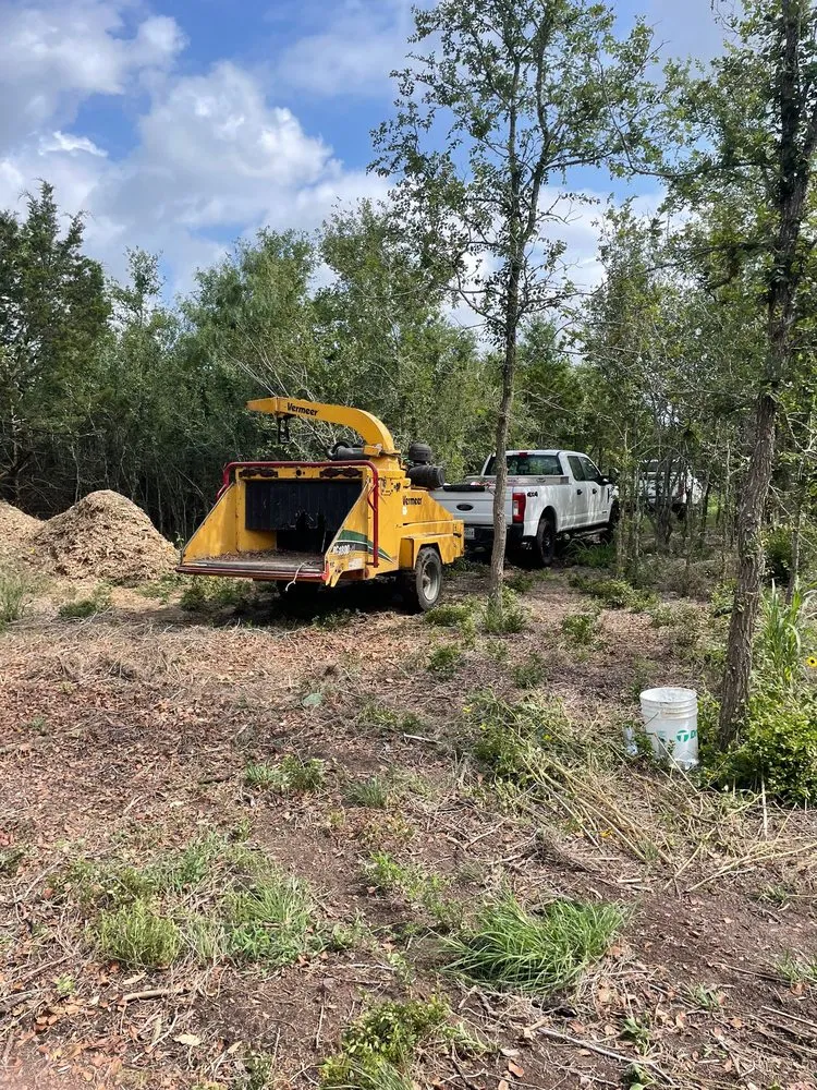 Top-rated yard cleanup service in Buda, TX by Sergio's Tree Service