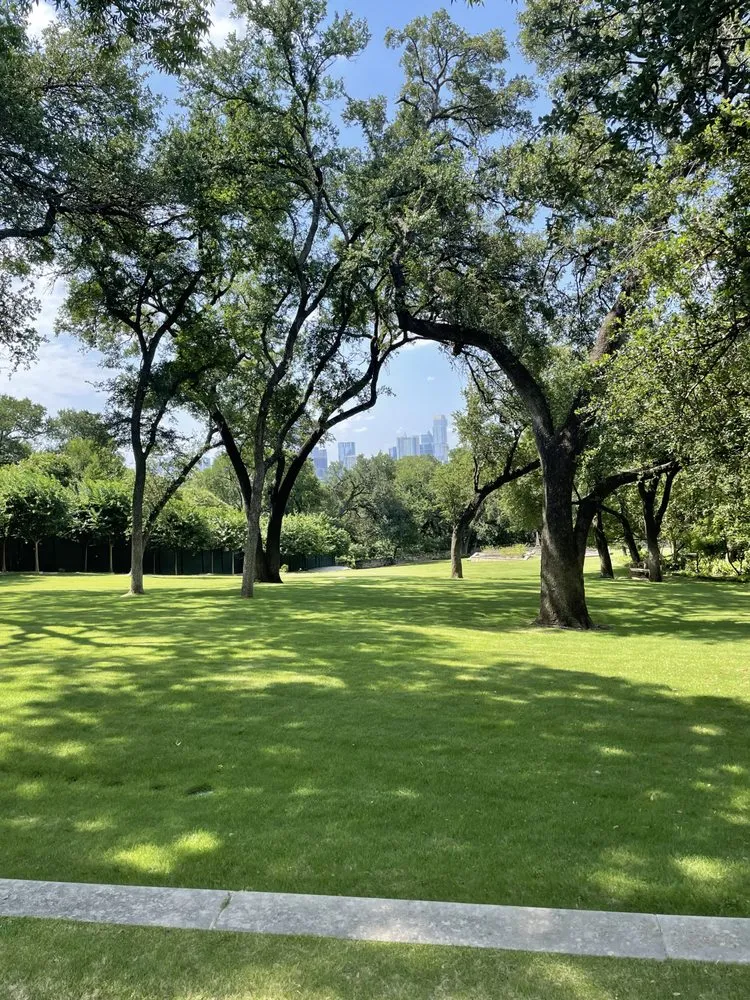 Expert yard maintenance in Buda, TX by Sergio's Tree Service