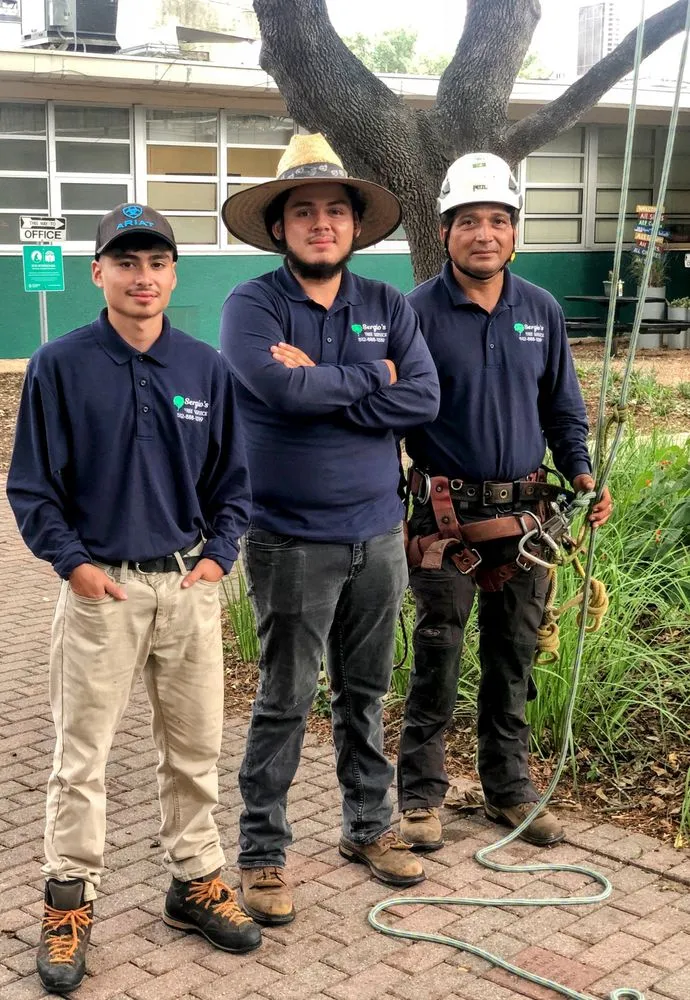 Affordable lawn mowing service near you in Buda, TX by Sergio's Tree Service