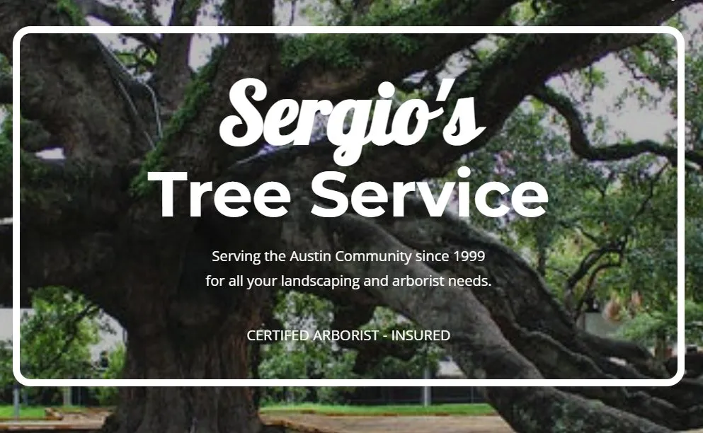 Top-rated yard maintenance for outdoor upgrades across Buda, TX - Sergio's Tree Service