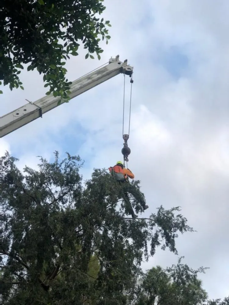 Professional lawn mowing service near you in Peoria, AZ by Serious Landscaping & Grounds Care