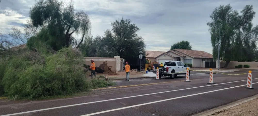 Custom garden landscaping in Peoria, AZ by Serious Landscaping & Grounds Care