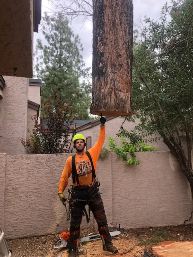 Expert outdoor landscaping in Peoria, AZ - Serious Landscaping & Grounds Care