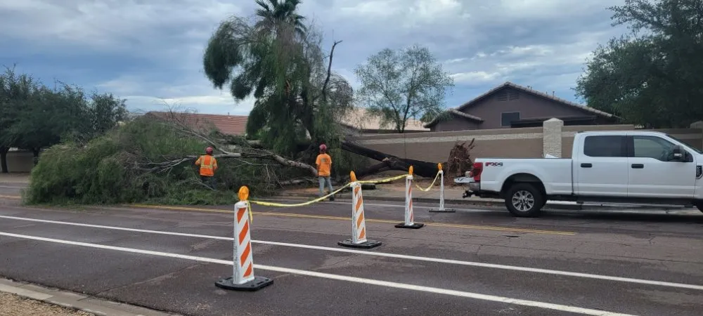 Professional yard maintenance for outdoor upgrades in Peoria, AZ by Serious Landscaping & Grounds Care