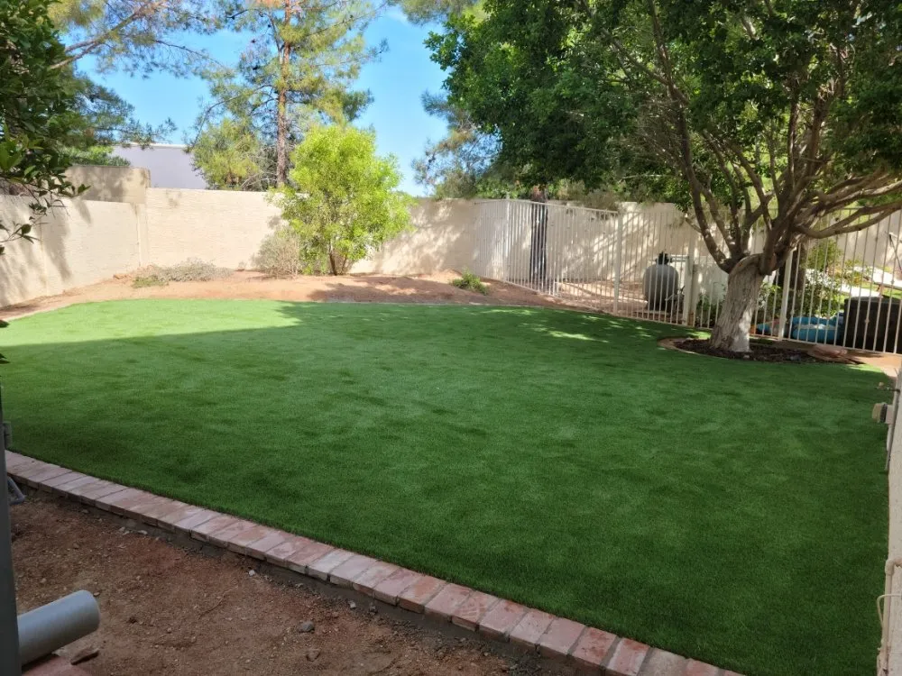 Professional yard maintenance experts serving Peoria, AZ - Serious Landscaping & Grounds Care