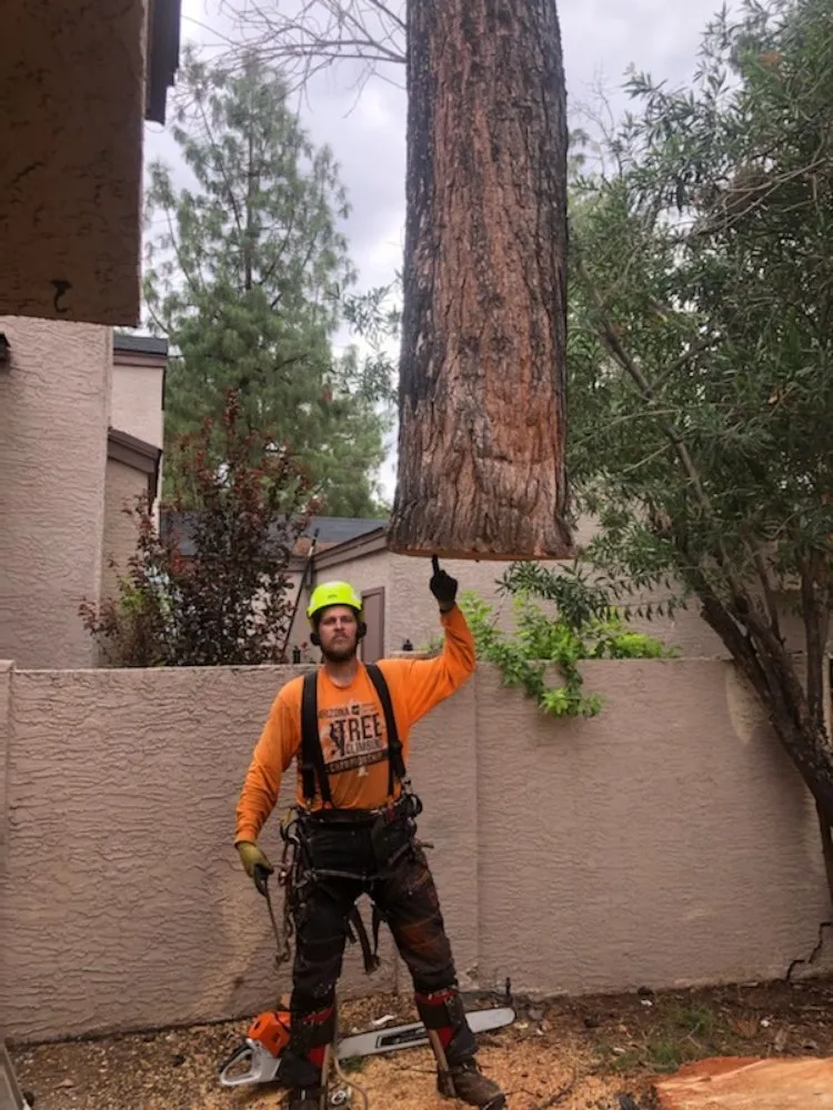 Custom landscape design experts serving Peoria, AZ - Serious Landscaping & Grounds Care