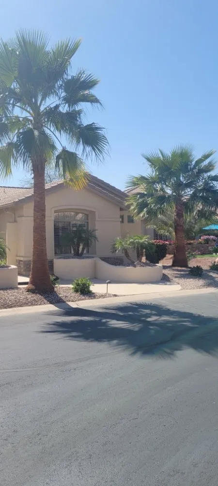 Affordable lawn care service for beautiful yards across Peoria, AZ - Serious Landscaping & Grounds Care