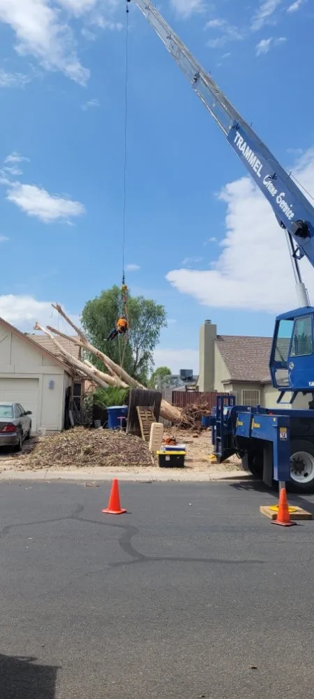 Reliable outdoor landscaping experts serving Peoria, AZ - Serious Landscaping & Grounds Care