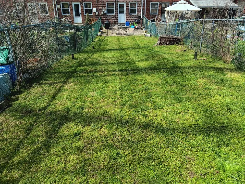 Custom outdoor landscaping in Philadelphia, PA - Serious Landscaping