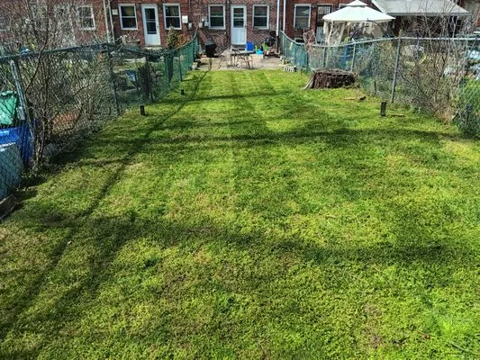 Serious Landscaping Logo