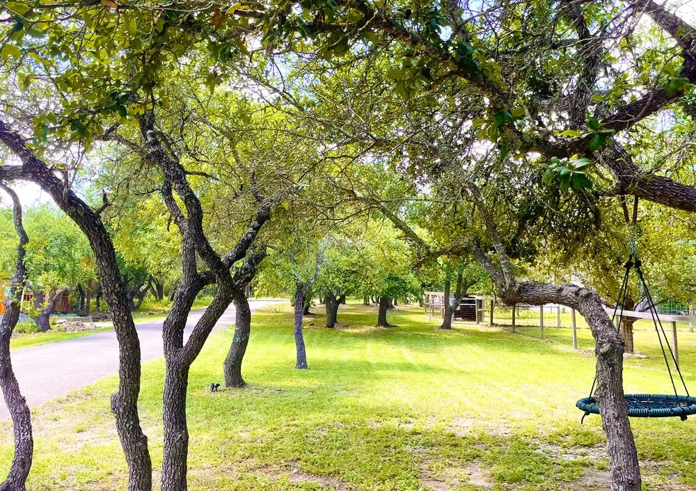 Custom landscape installation in Lakeway, TX by Serna Landscaping services