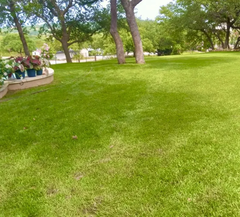 Custom landscape installation experts serving Lakeway, TX - Serna Landscaping services