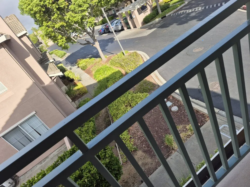 Custom yard cleanup service experts serving Hayward, CA - Serpico Landscaping