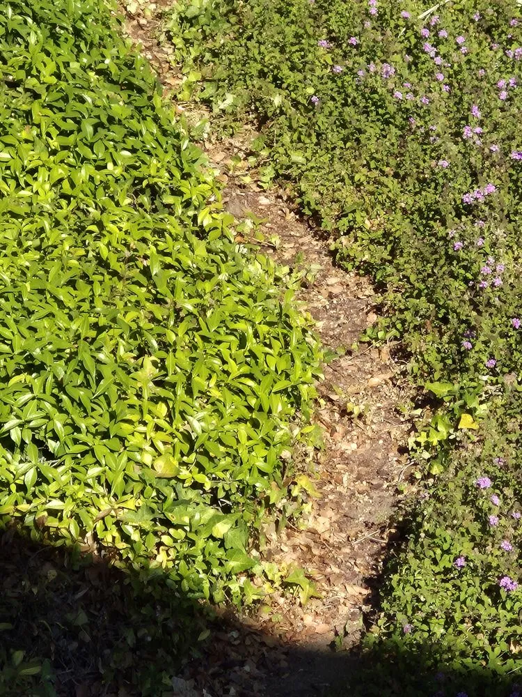 Expert landscape design experts serving Hayward, CA - Serpico Landscaping