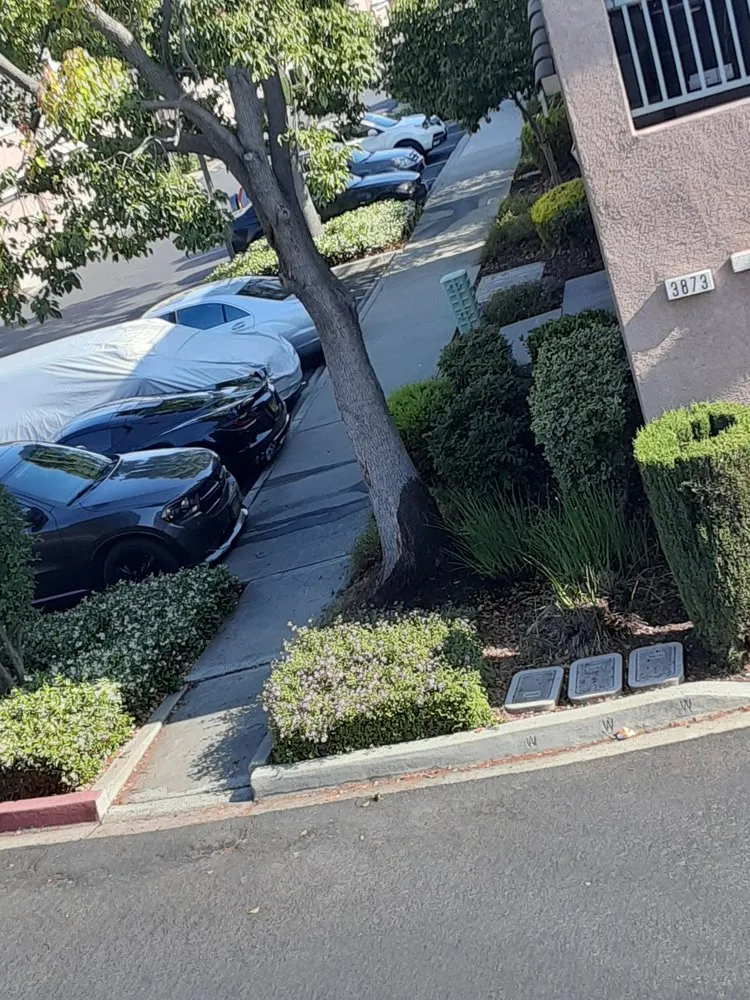 Top-rated lawn mowing service experts serving Hayward, CA - Serpico Landscaping