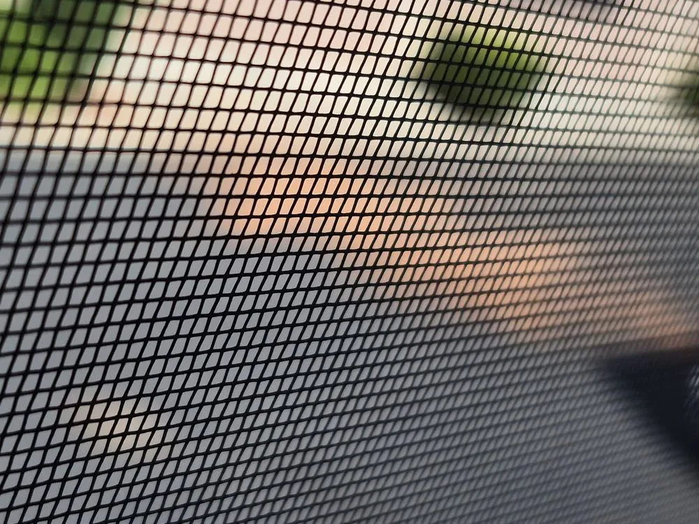 Professional garden landscaping in Hayward, CA - Serpico Landscaping