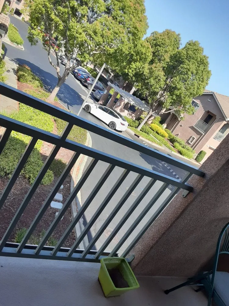 Local yard maintenance experts serving Hayward, CA - Serpico Landscaping