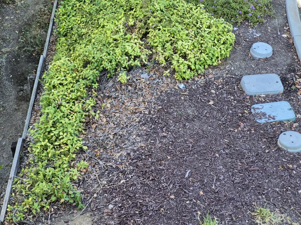 Affordable landscaping services in Hayward, CA by Serpico Landscaping