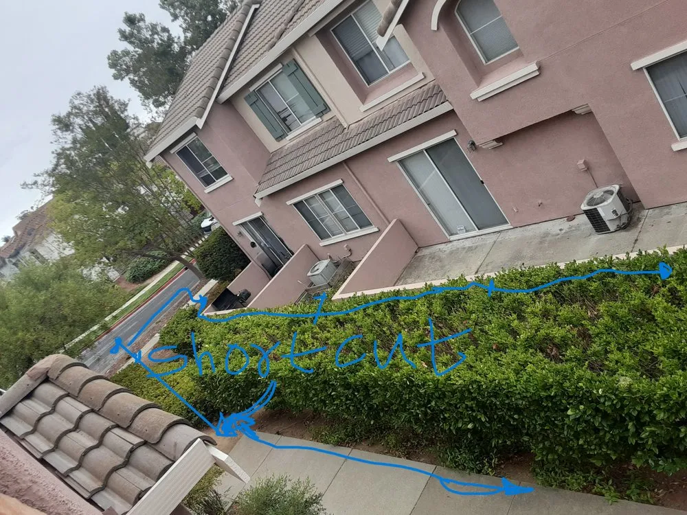 Expert outdoor landscaping in Hayward, CA by Serpico Landscaping