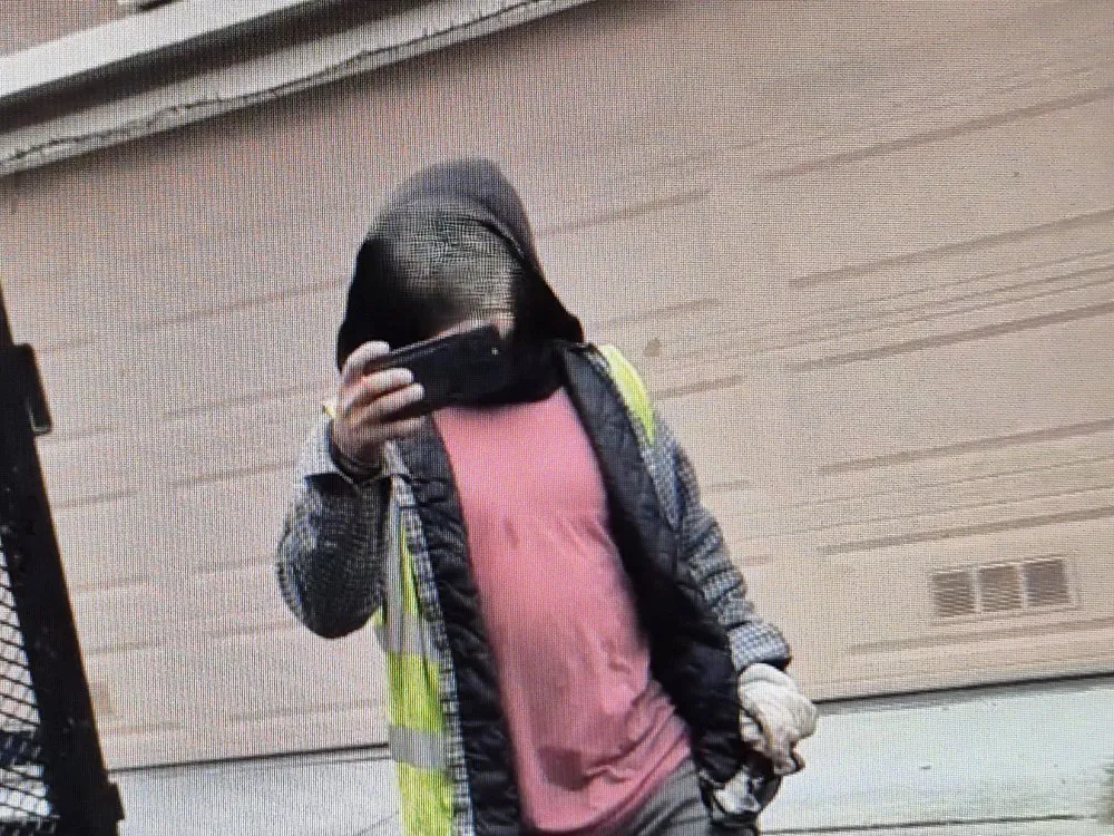 Expert outdoor landscaping in Hayward, CA by Serpico Landscaping