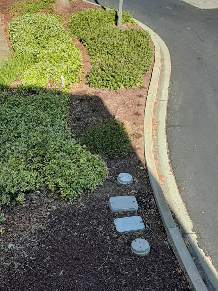 Trusted lawn care service in Hayward, CA - Serpico Landscaping