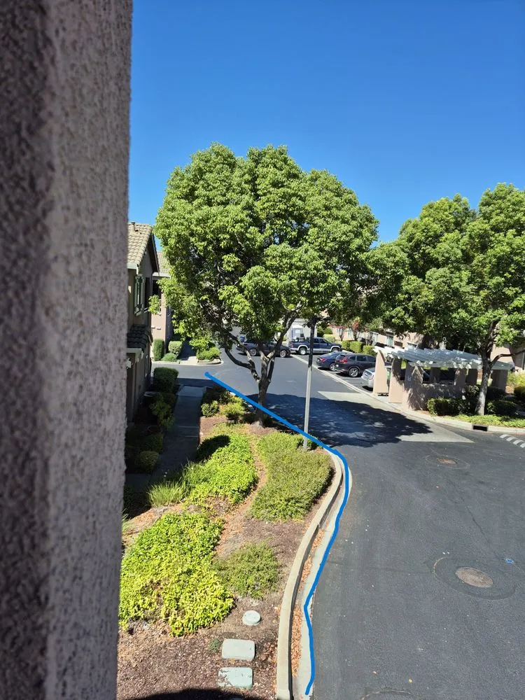 Expert landscape design in Hayward, CA - Serpico Landscaping