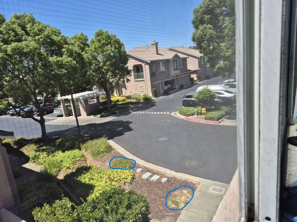 Professional landscape design with custom design in Hayward, CA by Serpico Landscaping