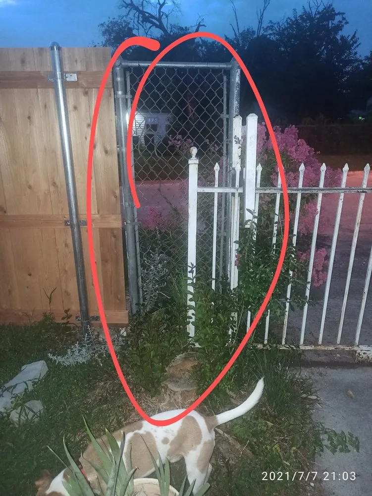 Trusted garden landscaping with custom design in Arlington, TX by Serrano and Sons Construction