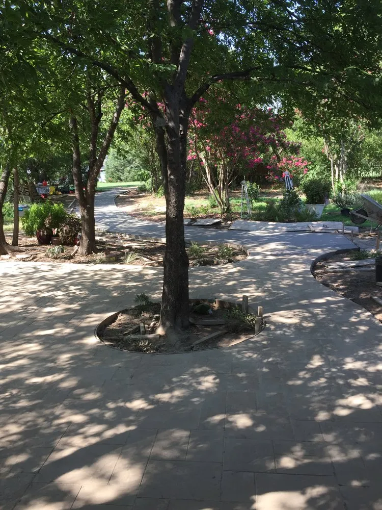 Trusted yard cleanup service in Arlington, TX - Serrano and Sons Construction