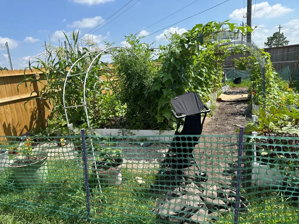 Trusted landscape design experts serving Pearland, TX - Serrano Landscape Supply Group