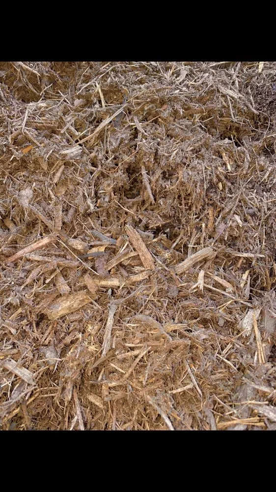 Expert yard cleanup service for outdoor upgrades in Pearland, TX by Serrano Landscape Supply Group