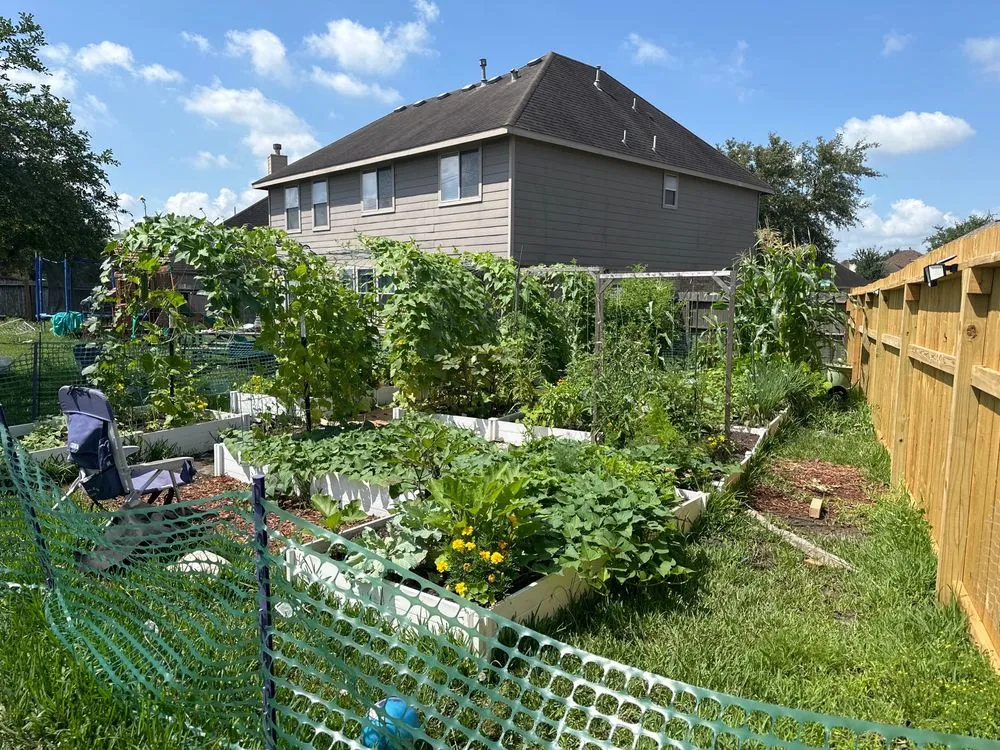 Reliable residential landscaping in Pearland, TX by Serrano Landscape Supply Group