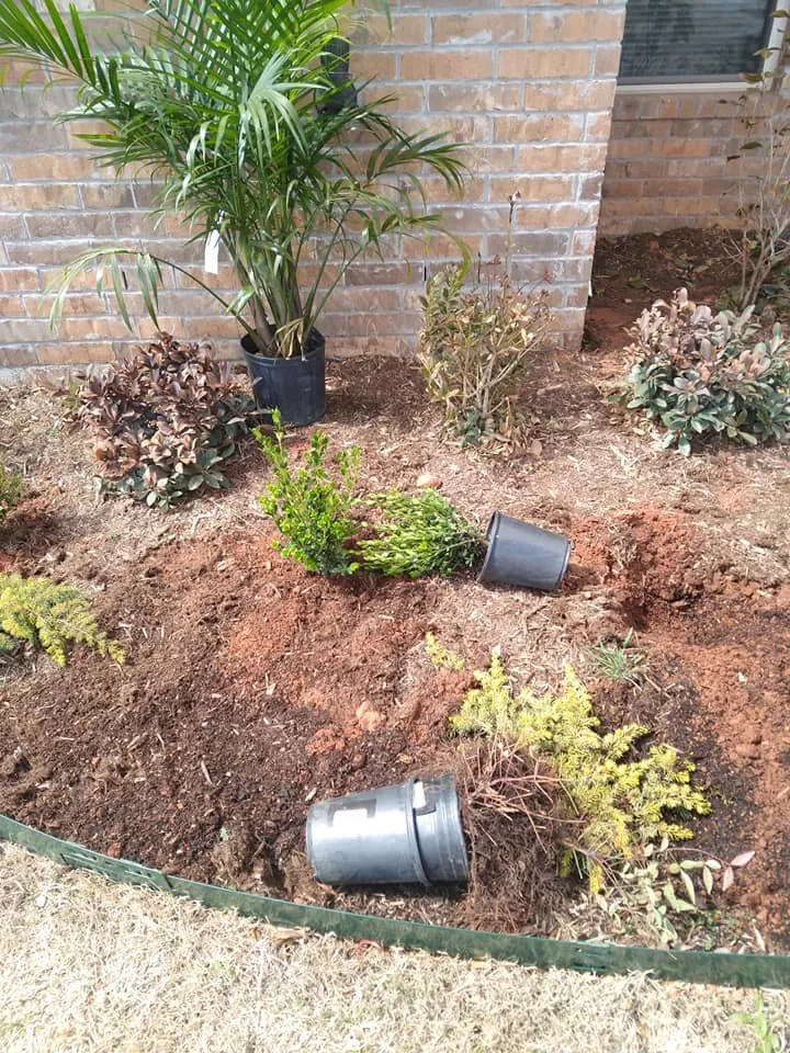 Affordable lawn care service in Mustang, OK by Serrano Landscaping