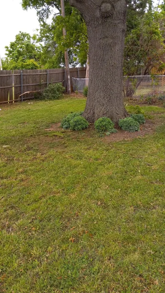 Local residential landscaping in Mustang, OK - Serrano Landscaping