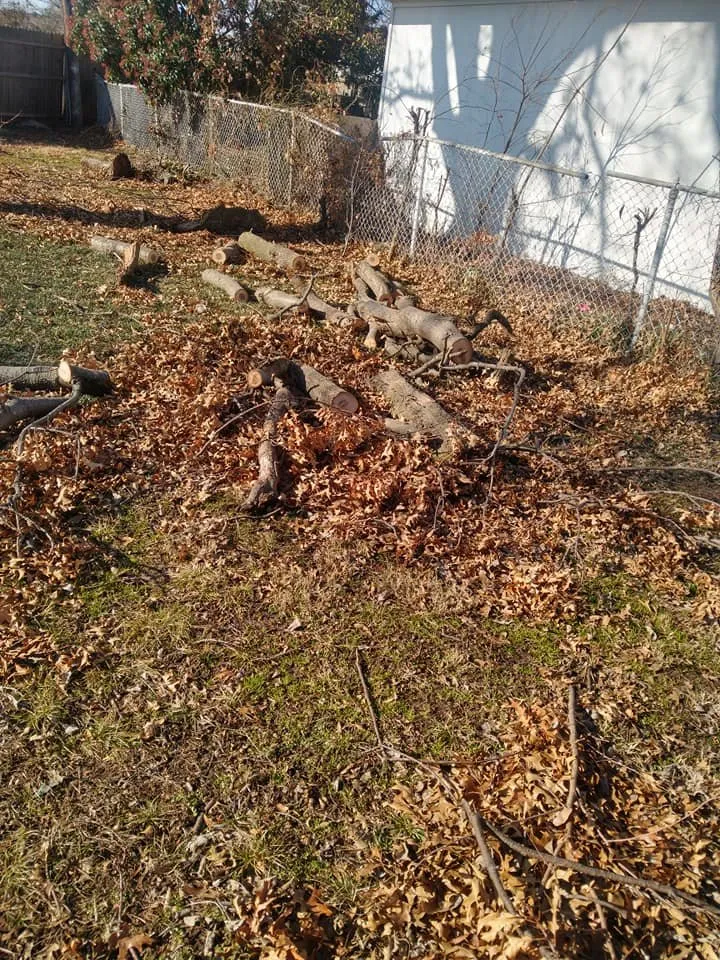 Expert yard cleanup service experts serving Mustang, OK - Serrano Landscaping