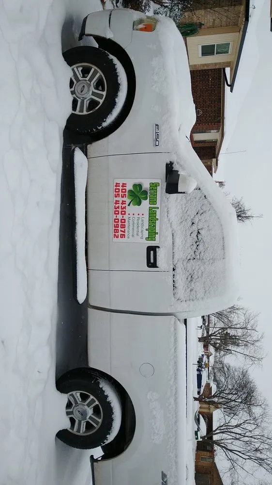 Professional yard cleanup service in Mustang, OK by Serrano Landscaping