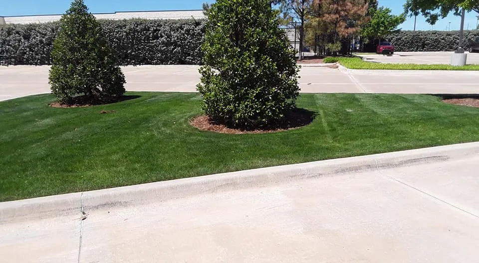 Expert landscape design near you in Mustang, OK by Serrano Landscaping