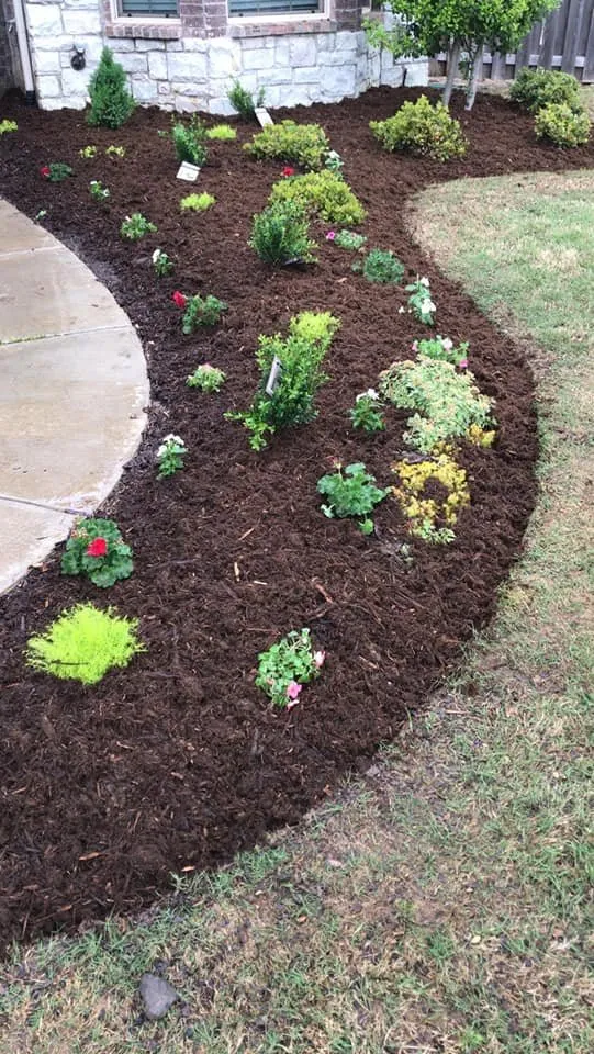 Local residential landscaping experts serving Mustang, OK - Serrano Landscaping
