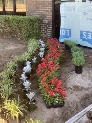 Serrano Lawn Service Logo