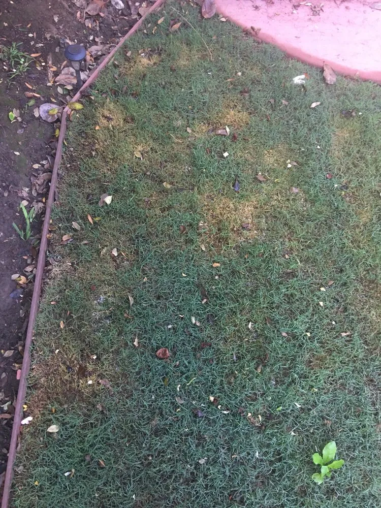 Reliable landscape installation experts serving San Francisco, CA - Serrano's Gardening and Landscape Service